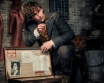 Animali Fantastici 3: annunciata la data di uscita nelle sale
