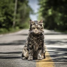 Pet Sematary 11