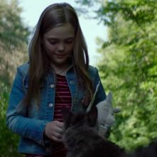 Pet Sematary: Jeté Laurence in una scena del film