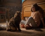 Pet Sematary: al Cinemino di Milano l'anteprima con gatto il 7 maggio