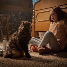 Pet Sematary: Jeté Laurence durante una scena