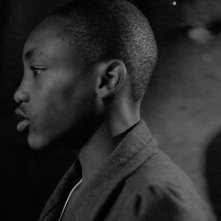 Che fare quando il mondo è in fiamme?: un'immagine del documentario