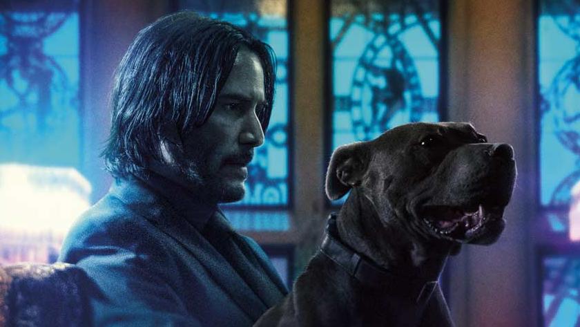 John Wick 3: Parabellum, la troupe ha dovuto sfamare un esercito di gatti per finire il film
