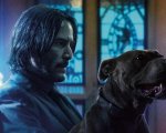John Wick 3: Parabellum, la troupe ha dovuto sfamare un esercito di gatti per finire il film