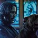 John Wick 3: Parabellum, la troupe ha dovuto sfamare un esercito di gatti per finire il film