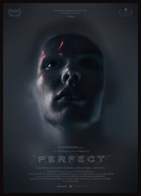 Locandina di Perfect