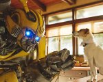 Bumblebee, La casa delle bambole, Il testimone invisibile, Il carillon e i voti del mese DVD e Bluray. Parte 1