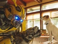 Bumblebee, La casa delle bambole, Il testimone invisibile, Il carillon e i voti del mese DVD e Bluray. Parte 1