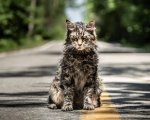 Pet Sematary, la recensione: una nuova versione tra rivisitazione e tradimento