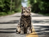 Pet Sematary, la recensione: una nuova versione tra rivisitazione e tradimento