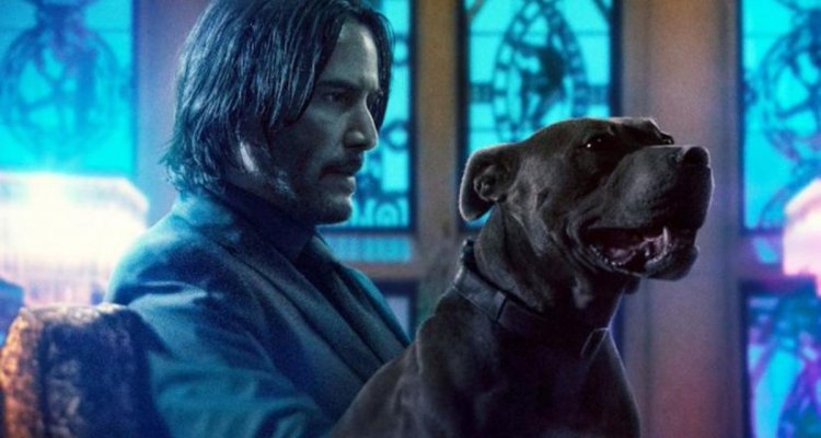 John Wick 3 Il Genio Dello Streaming