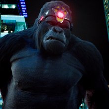 The Flash: un'immagine della quinta stagione