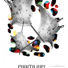 Locandina di Manta Ray