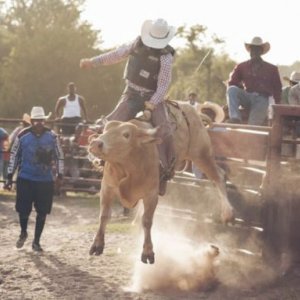 Bull: una sequenza del film