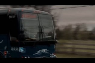 A Rainy Day in New York - Trailer