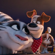 Pets 2 - Vita da Animali: un'immagine del film