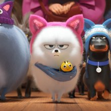 Pets 2 - Vita da Animali: una scena del film