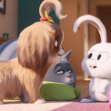 Pets 2 - Vita da Animali: una sequenza del film