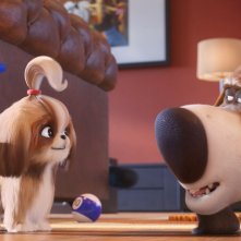 Pets 2 - Vita da Animali: un'immagine del film animato