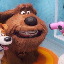Pets 2 - Vita da Animali: una scena del film d'animazione