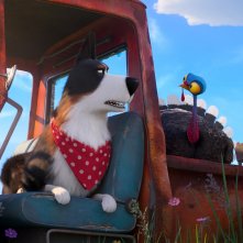 Pets 2 - Vita da Animali: Rooster, il personaggio doppiato da Harrison Ford