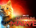 Captain Marvel: il gatto Goose è una star grazie a Kevin Feige
