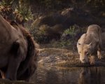 Il Re Leone: Beyonce dà voce a Nala in un nuovo spot promozionale