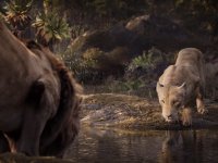 Il Re Leone: Beyonce dà voce a Nala in un nuovo spot promozionale