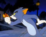 Tom & Jerry Channel: su Boomerang il canale dedicato al famoso cartone!