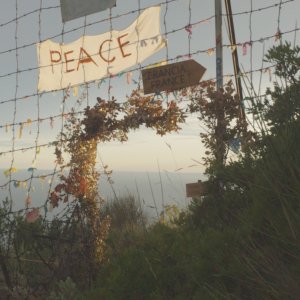 Sheleter - Addio all'Eden: un'immagine del documentario