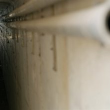 Carmen Y Lola: una scena del film