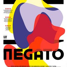 Locandina di Il Ritratto Negato