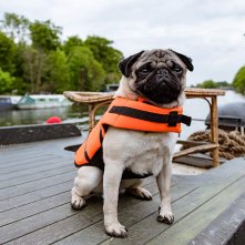 Ti Presento Patrick: un momento del film