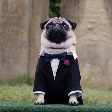 Ti Presento Patrick: un'immagine del film