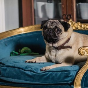 Ti Presento Patrick: una scena del film