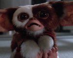 Gremlins: la serie animata prequel ottiene il via libera alla produzione!