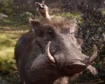 Il Re Leone: Timon e Pumbaa protagonisti di un simpatico spot