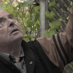 La seconda patria: un momento del documentario