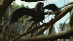 Maleficent -Signora Del Male - Trailer