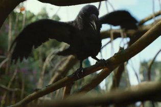 Maleficent -Signora Del Male - Trailer