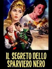 Locandina di Il segreto dello sparviero nero