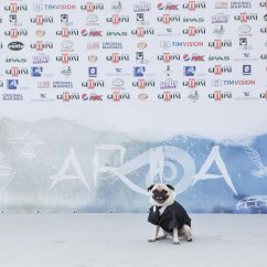 Foto di eventi