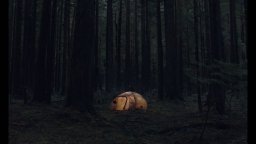 Light Of My Life - Trailer