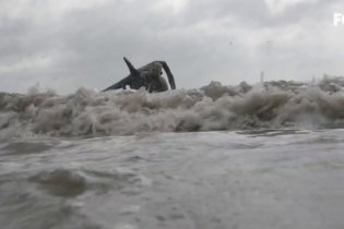 The Walking Dead - Trailer Season 10