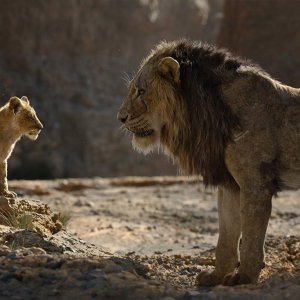 Il Re leone: un'immagine del film