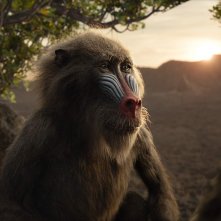 Il Re leone: Rafiki in una scena del film