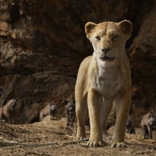 Il Re leone: Sarabi in un'immagine del film