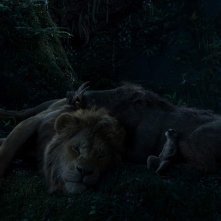 Il Re leone: una scena con Simba, Pumbaa e Timon