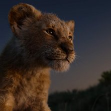 Il Re leone: il piccolo Simba in una scena