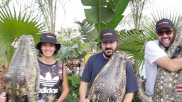 Crawl - Intrappolati, premiere a Cinecittà World 1